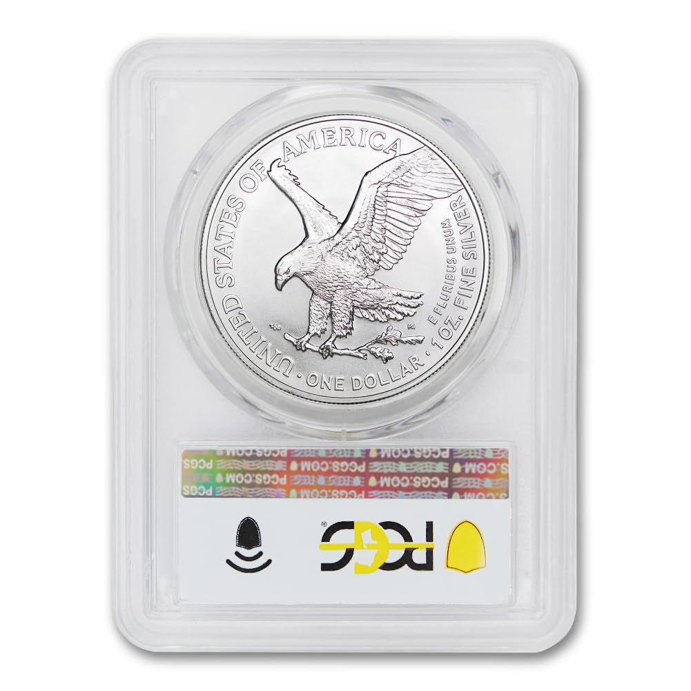 1 oz American Silver Eagle Coin MS-70 Q61420