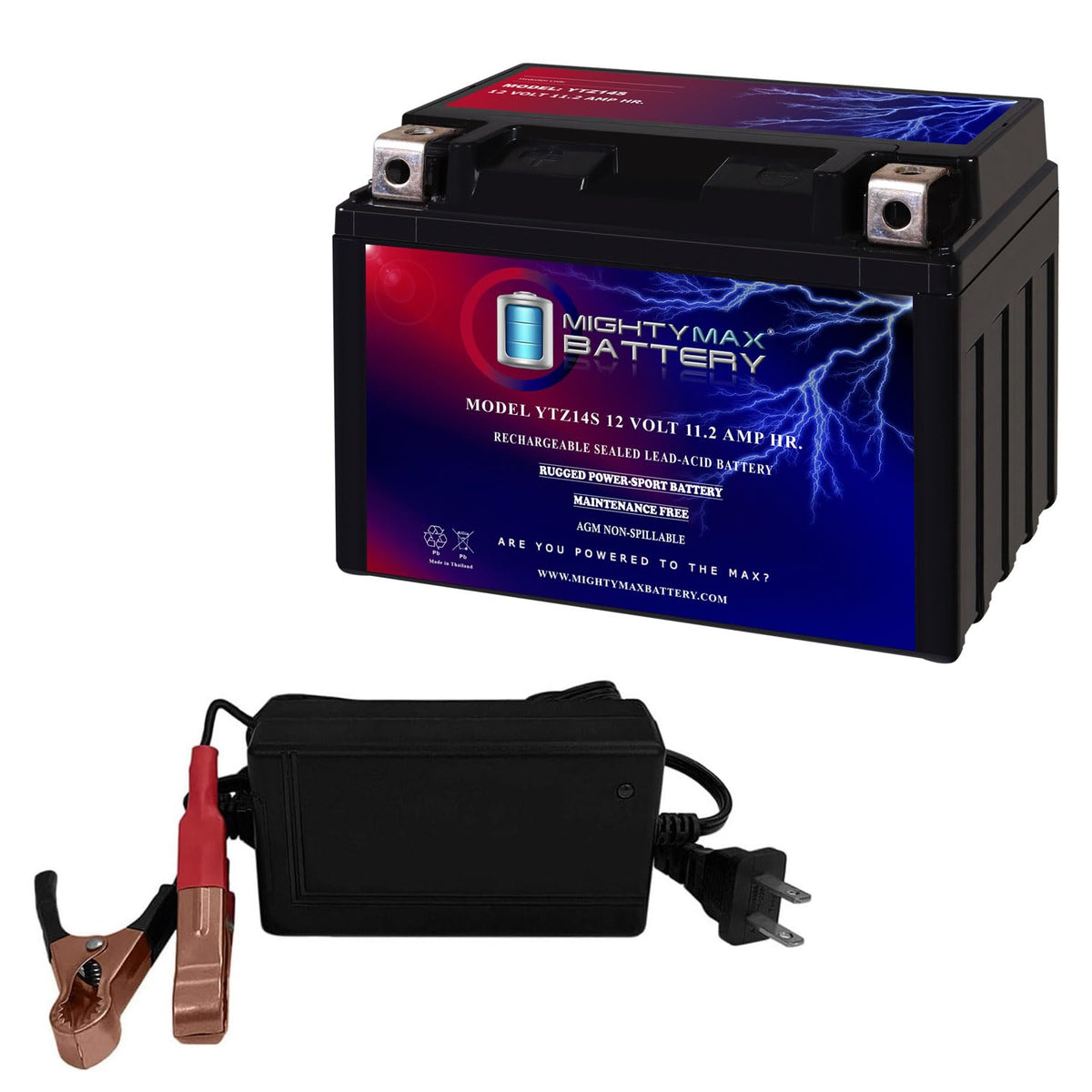 12V Battery with 2Amp Charger M5295