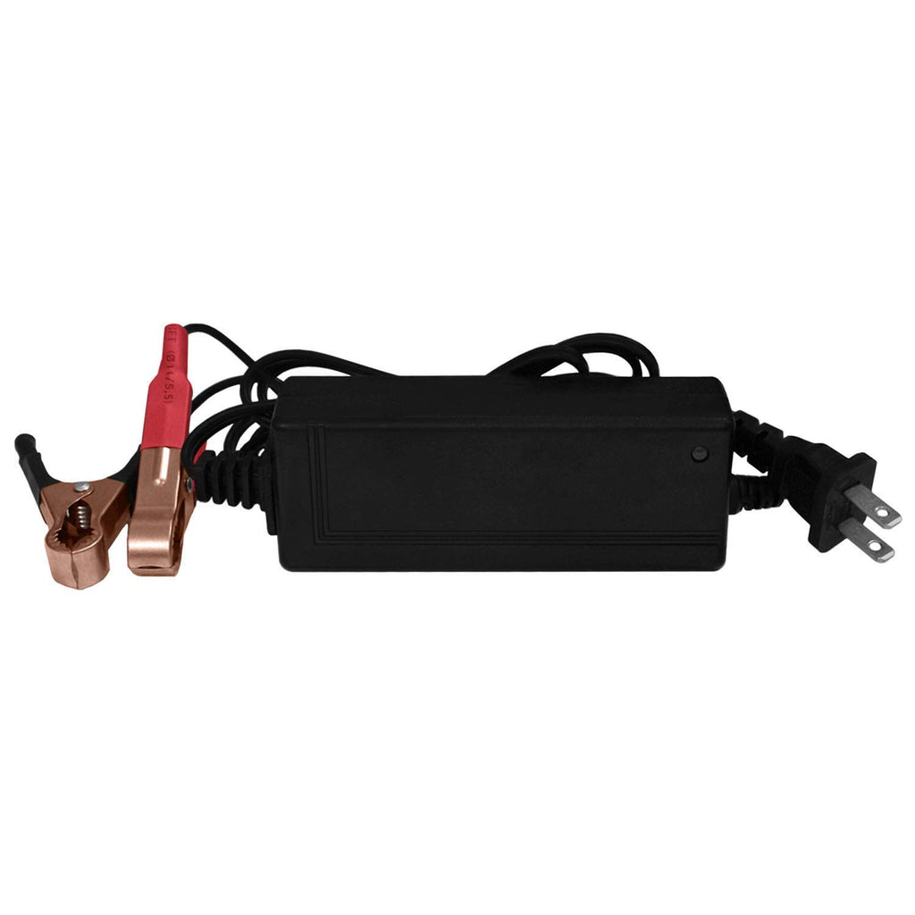 12V Battery with 2Amp Charger M5295