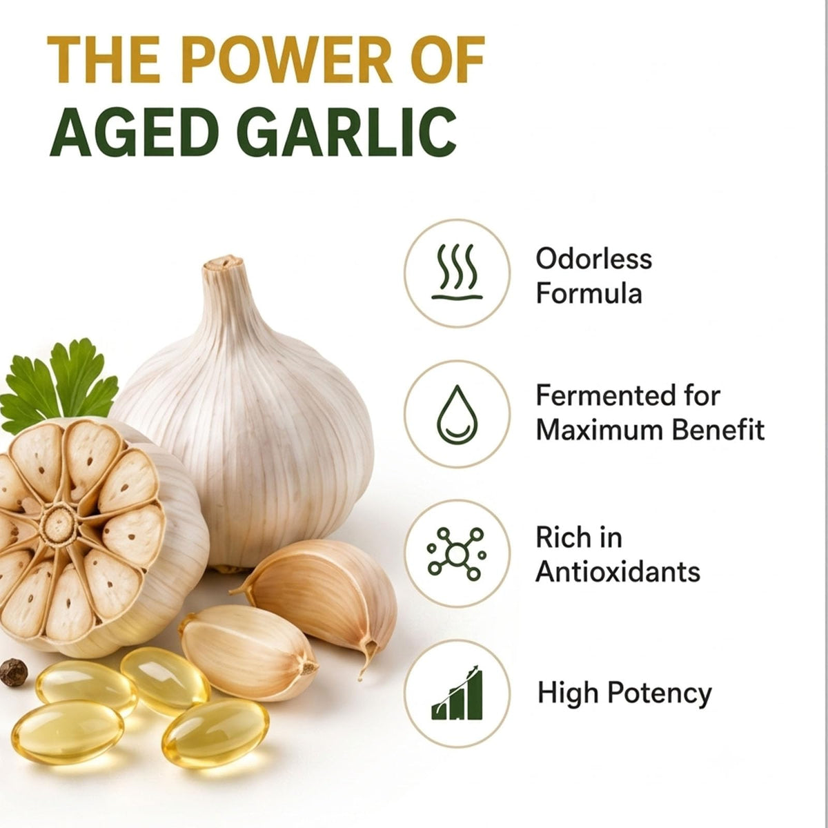 Odorless Aged Garlic Extract Supplement, 300 Softgels T721