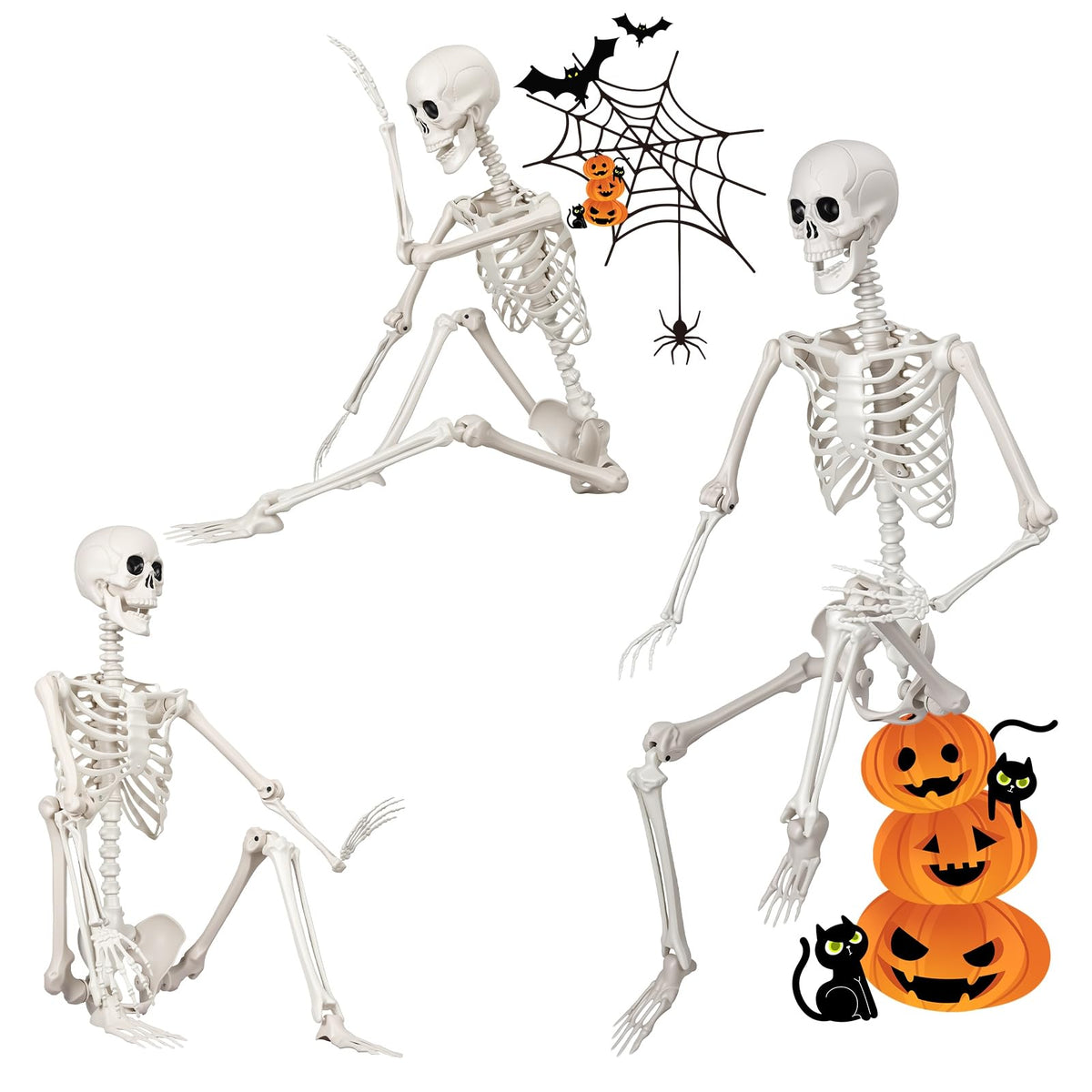 5.4FT Plastic Full Body Skeleton with Movable Joints B917