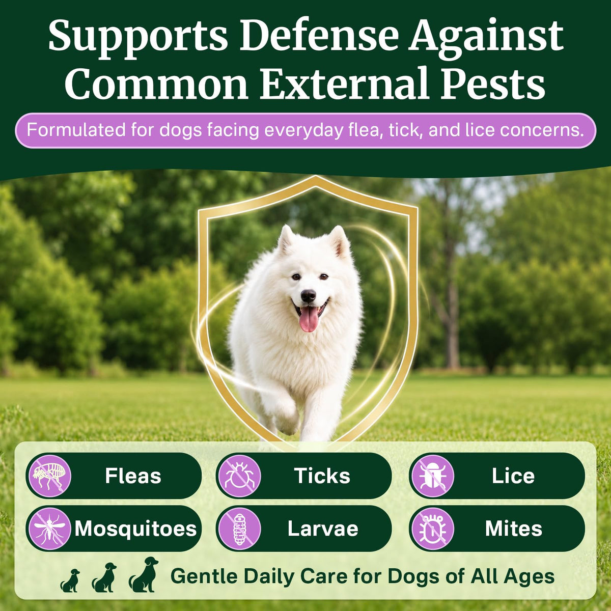 Dog Flea and Tick Prevention Chewables F935