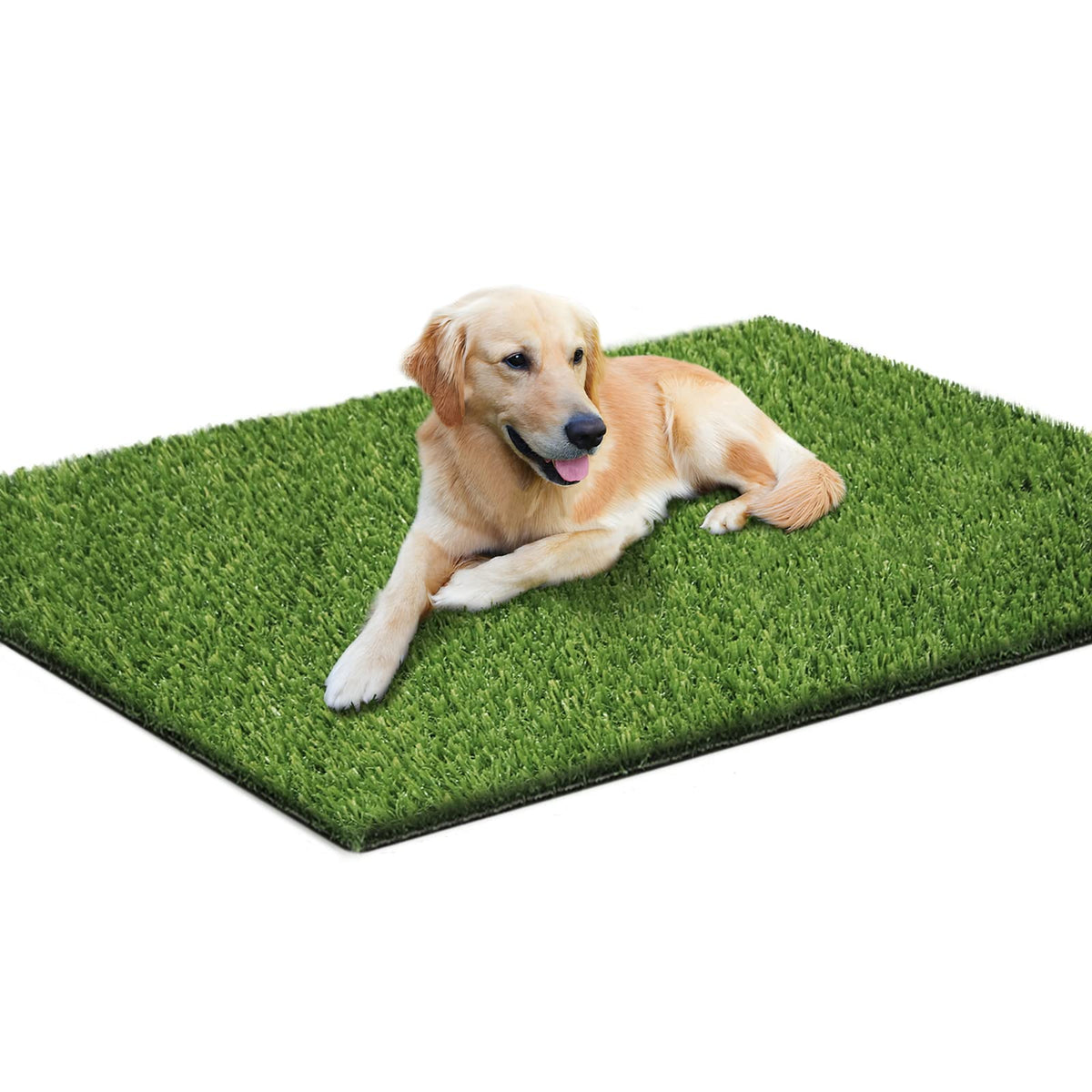 43.3 x 29.5 Inches Washable Artificial Grass Rug E15672
