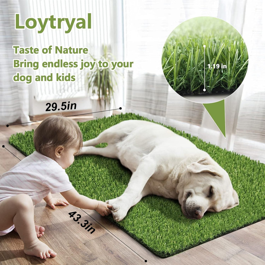 43.3 x 29.5 Inches Washable Artificial Grass Rug E15672