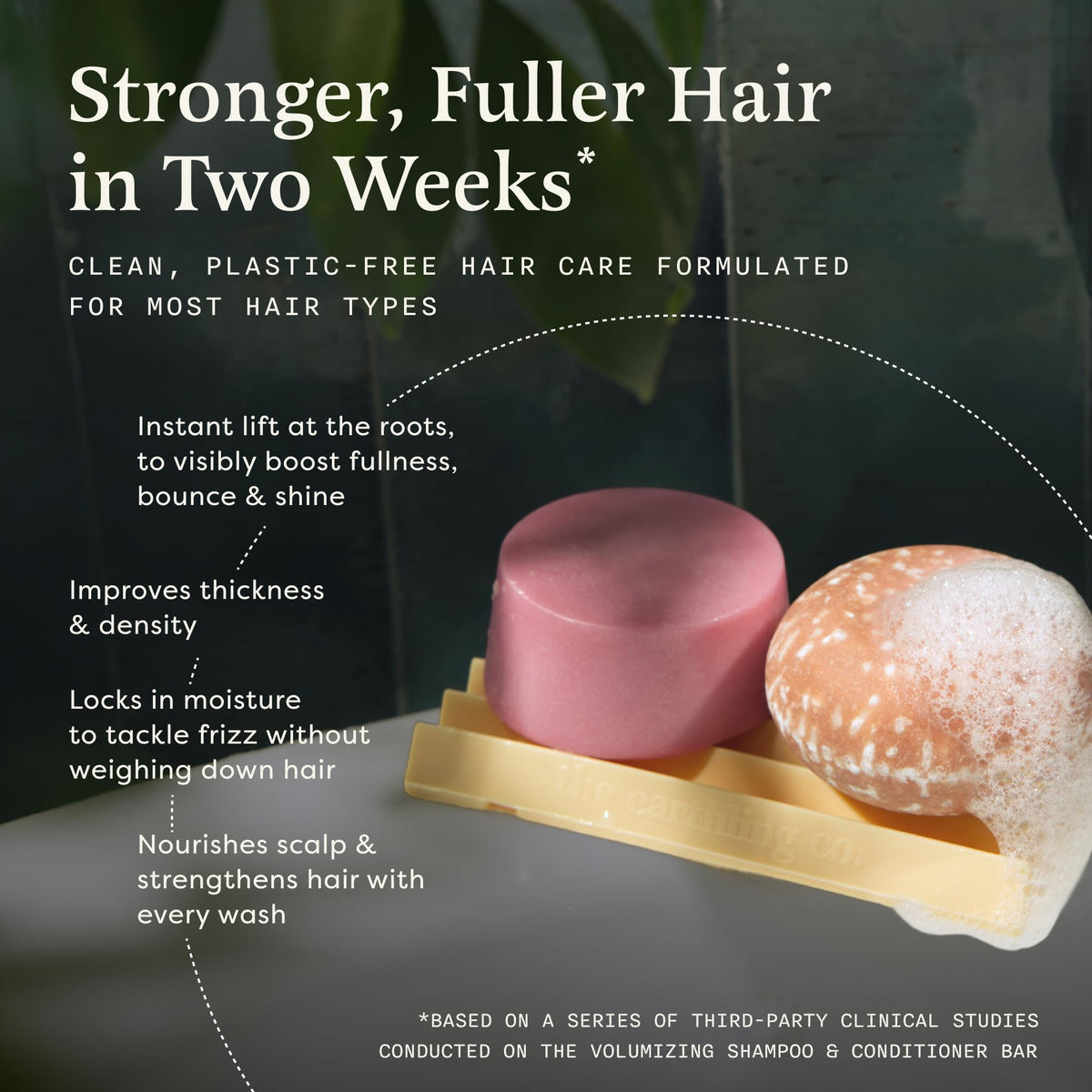 Shampoo & Conditioner Bar Set U3306