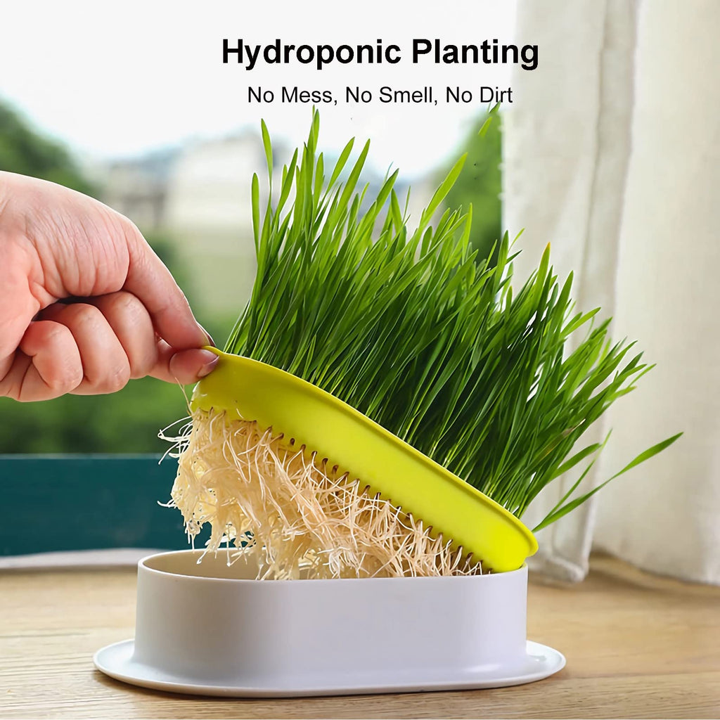 2Pcs Cat Grass Planter Hydroponic Growing Kit W8740