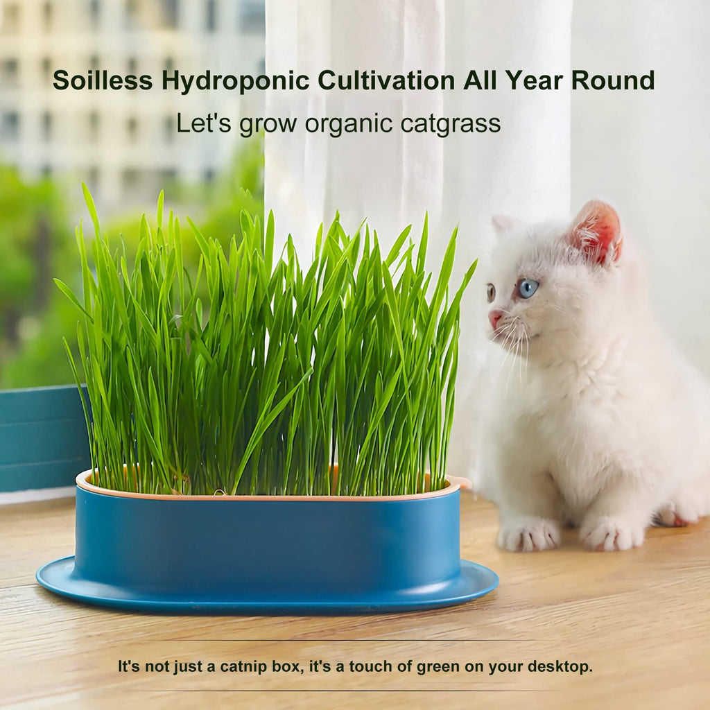 2Pcs Cat Grass Planter Hydroponic Growing Kit W8740
