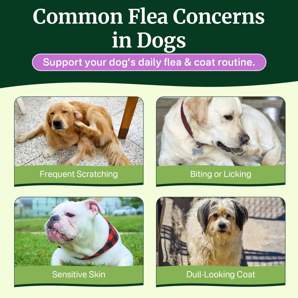 Dog Flea and Tick Prevention Chewables F935