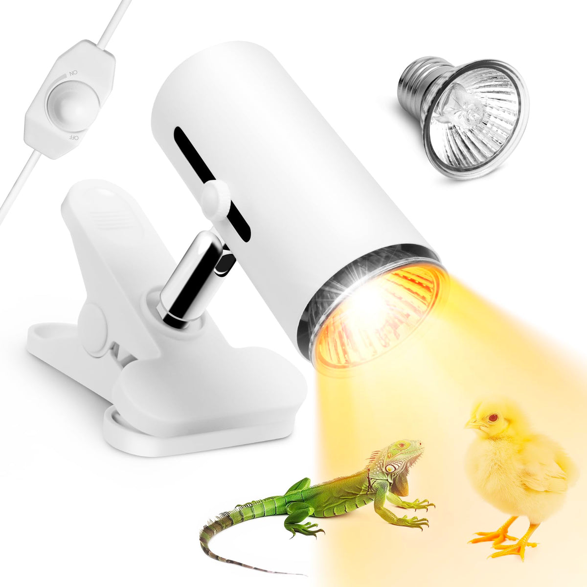 Turtle Tank Kit with Heat Lamp, Filter, UVB Lamp, Plants, Basking Platform H165