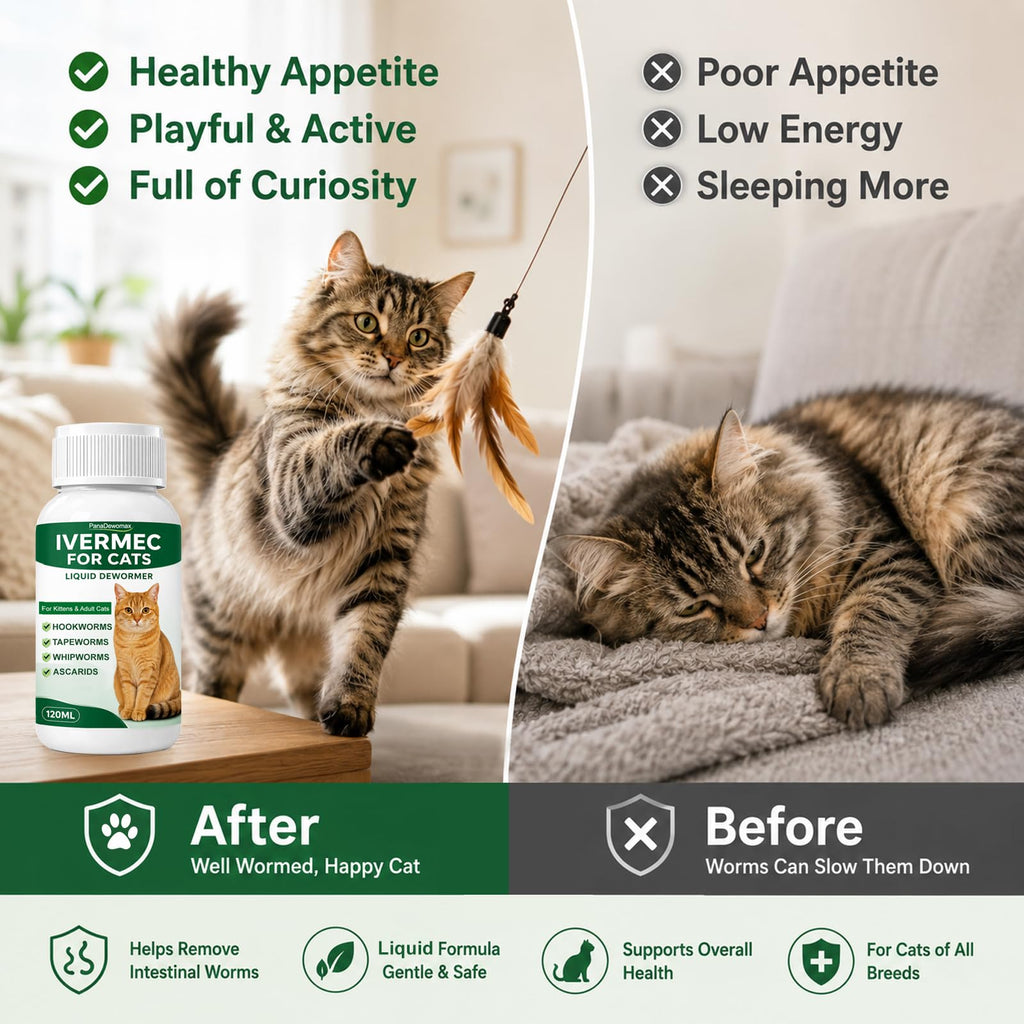 Broad Spectrum Cat Dewormer for Tapeworms, Roundworms and Hookworms T3421