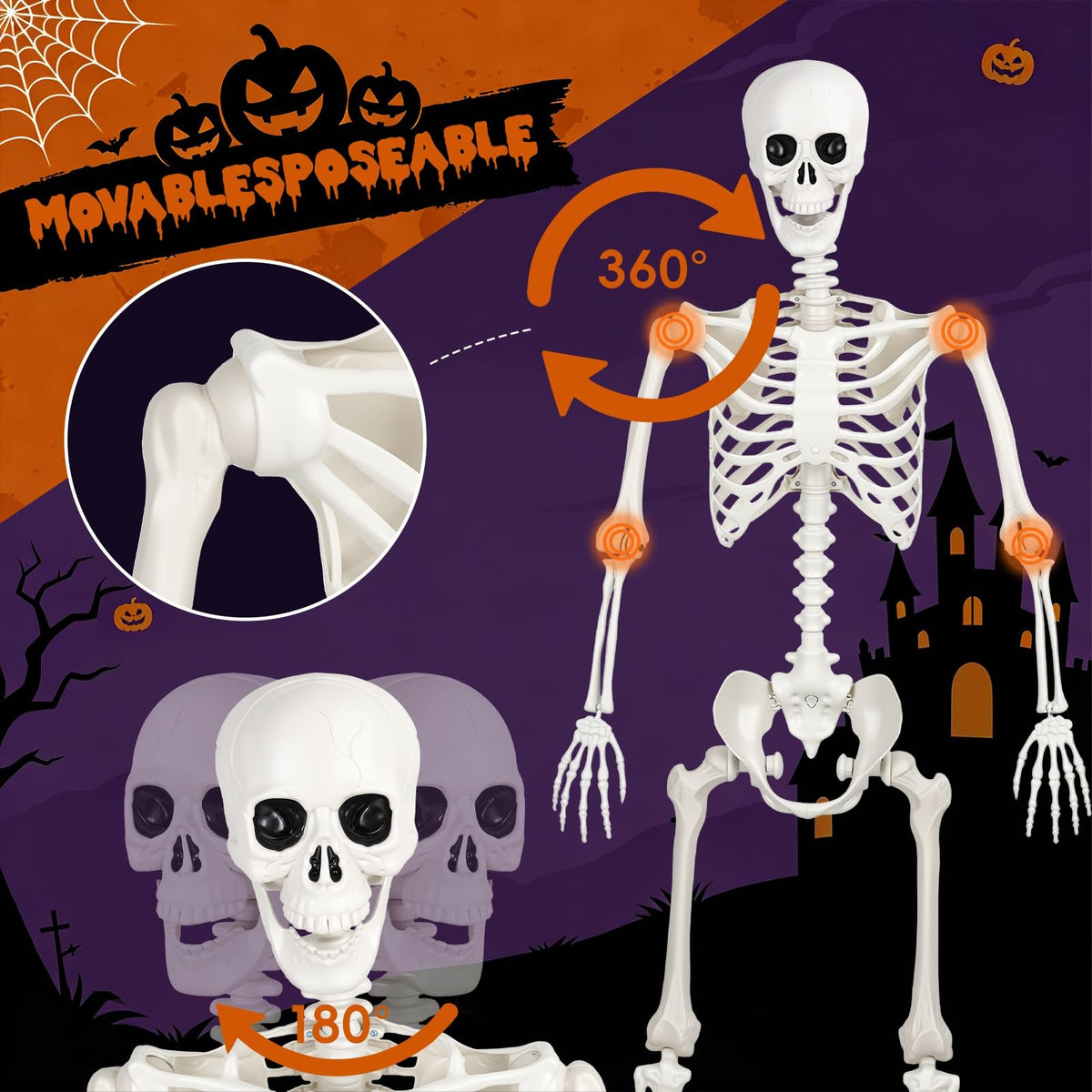 5.4FT Plastic Full Body Skeleton with Movable Joints B917