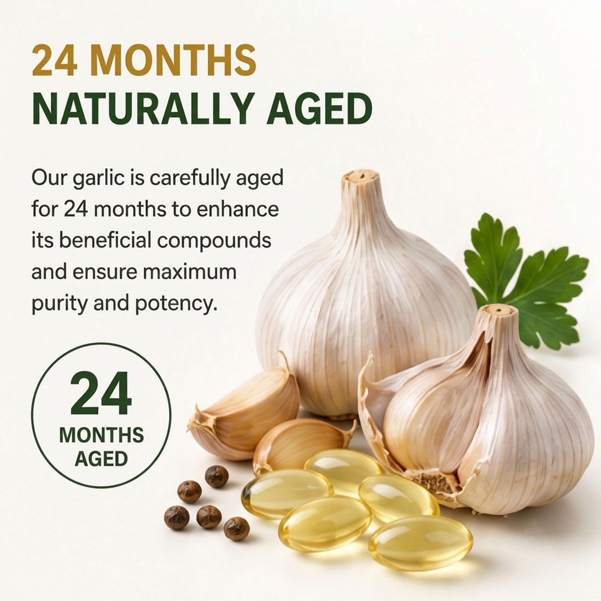 Odorless Aged Garlic Extract Supplement, 300 Softgels T721