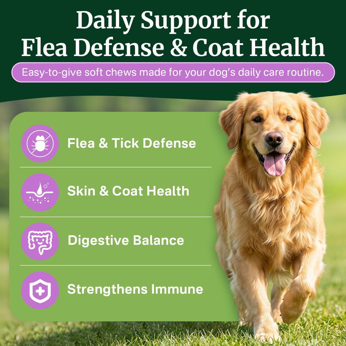 Dog Flea and Tick Prevention Chewables F935
