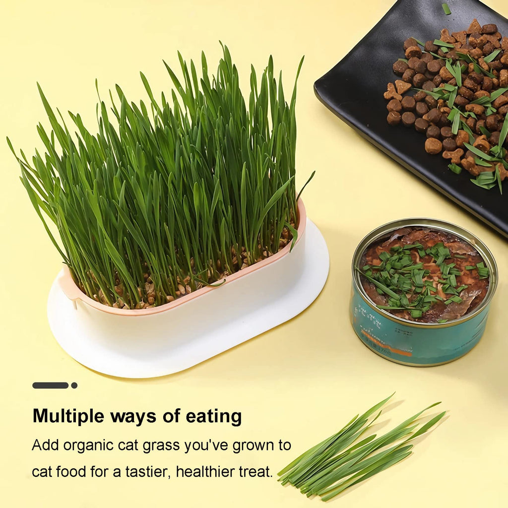 2Pcs Cat Grass Planter Hydroponic Growing Kit W8740