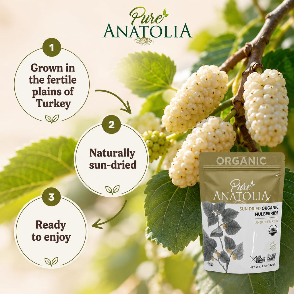 Organic Sun Dried White Mulberries 5 oz Resealable Bag F587