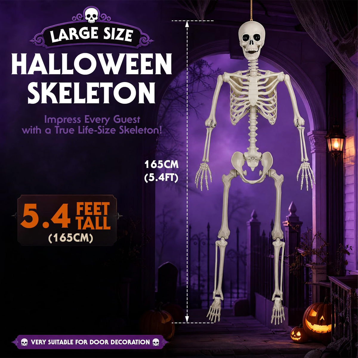 5.4FT Plastic Full Body Skeleton with Movable Joints B917