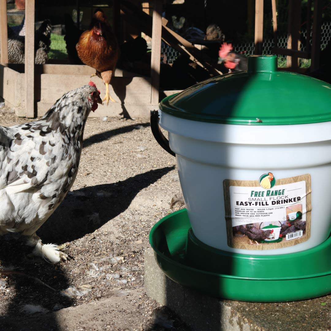 6.25 Gallon Poultry Drinker Z956