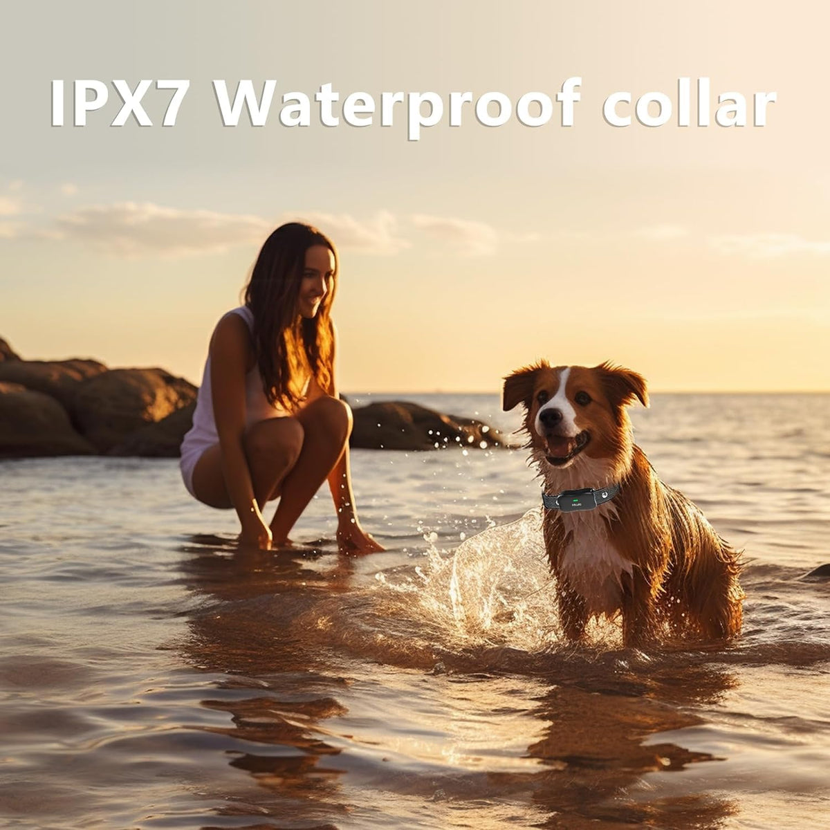 Wireless Dog Fence & Electronic Training Collar 2 in 1, IPX7 Waterproof V773451