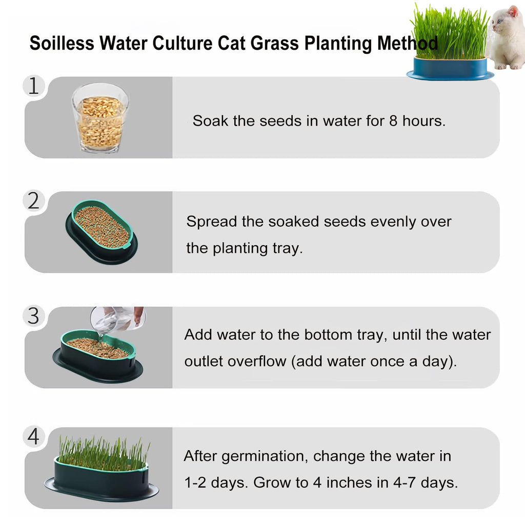 2Pcs Cat Grass Planter Hydroponic Growing Kit W8740