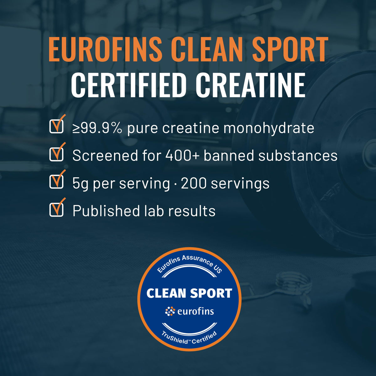 Unflavored Micronized Creatine Monohydrate Powder 1kg P430360