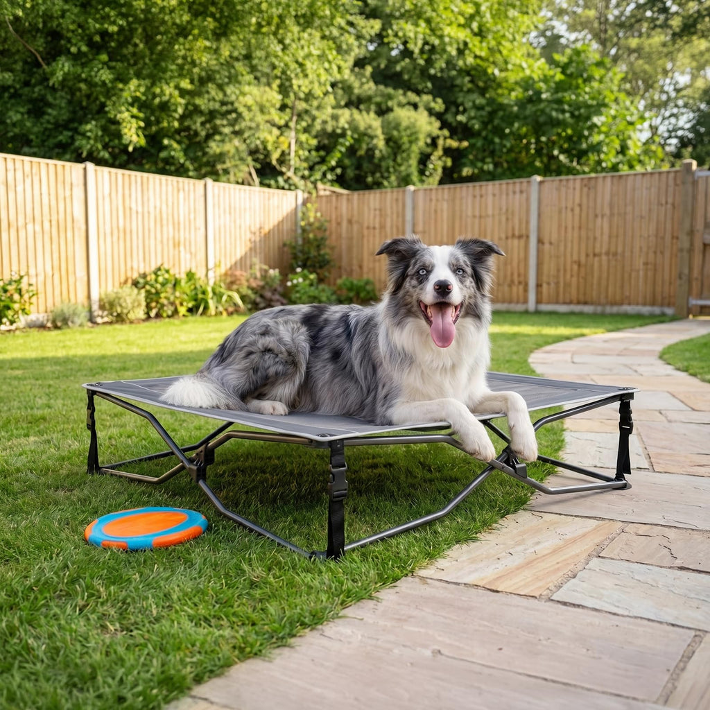 Elevated Cooling Dog Bed with Breathable Mesh R913591
