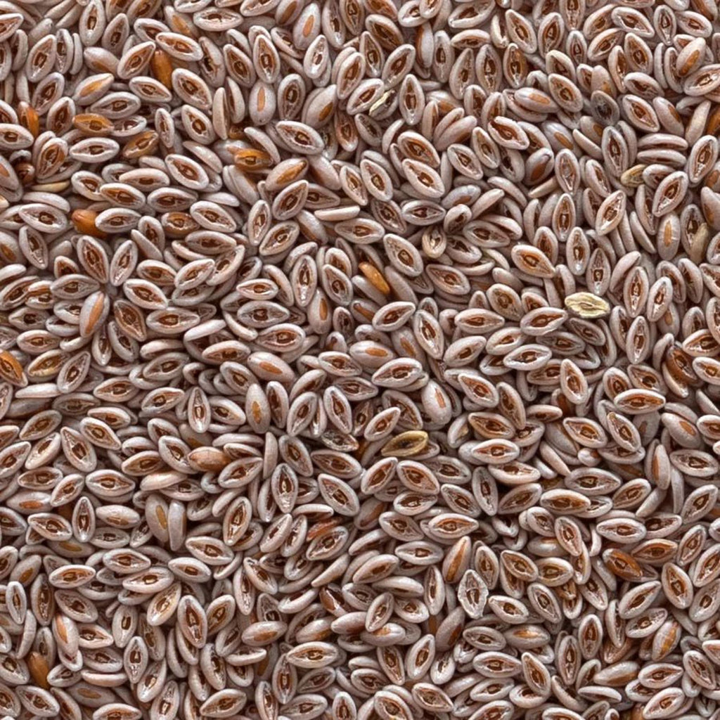 Organic Whole Psyllium Seed 1lb U8250