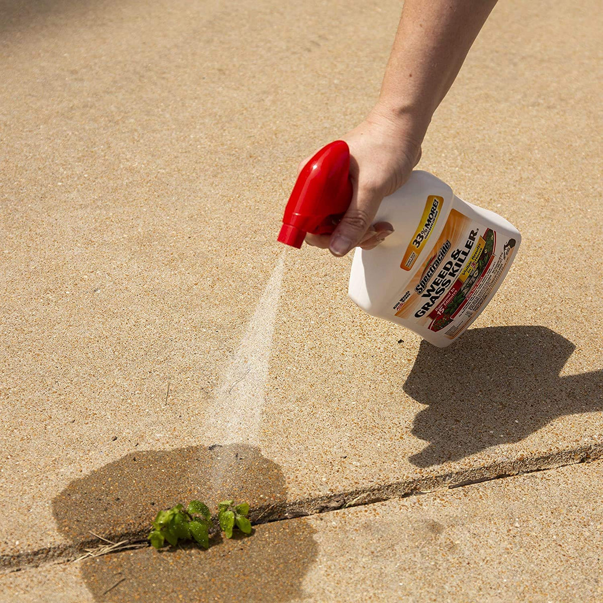 Weed & Grass Killer 32 fl oz Pack of 2 T286636