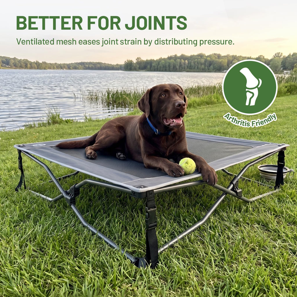 Elevated Cooling Dog Bed with Breathable Mesh R913591