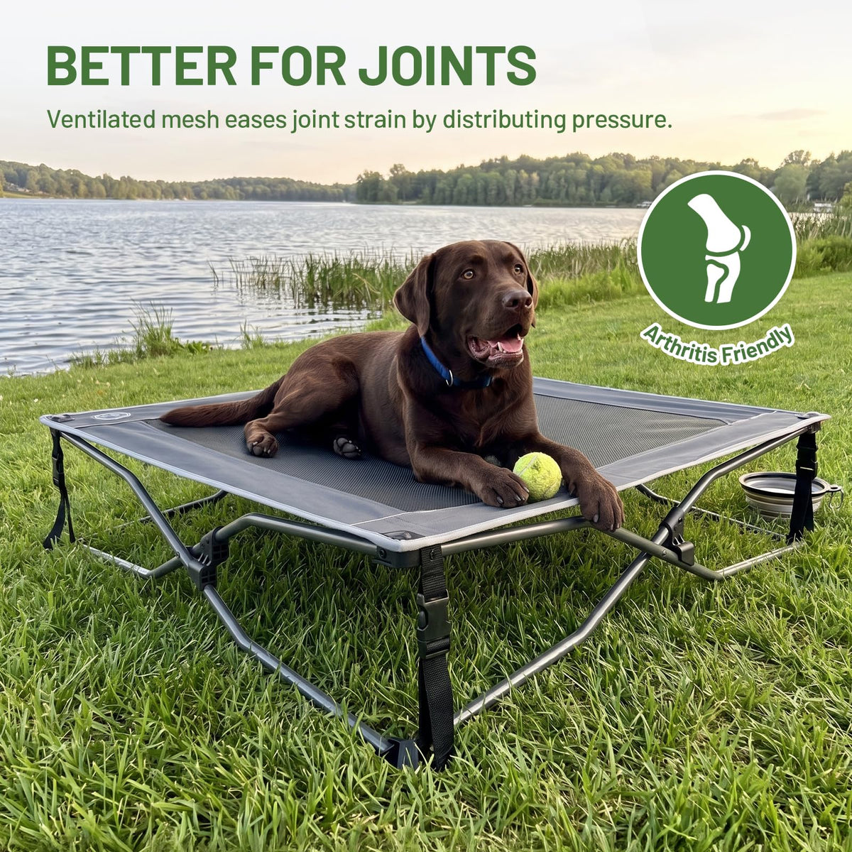 Elevated Cooling Dog Bed with Breathable Mesh R913591