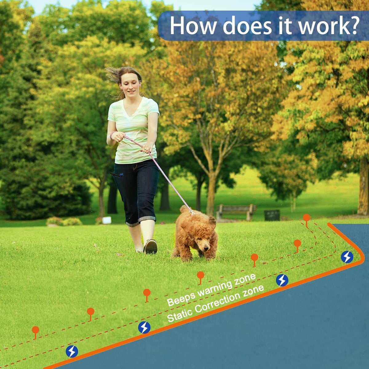 In-Ground Electric Dog Fence System with Waterproof Training Collar F162