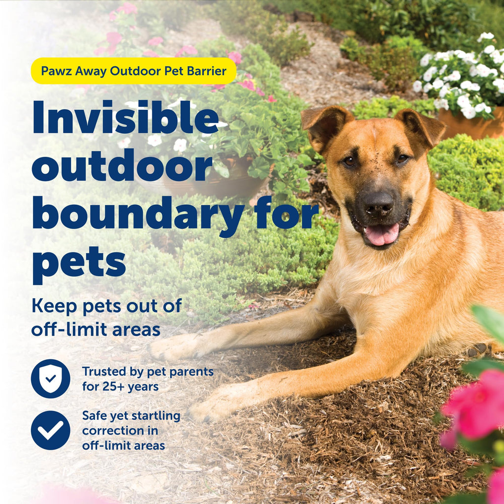 Wireless Outdoor Pet Barrier with Receiver Collar K24655