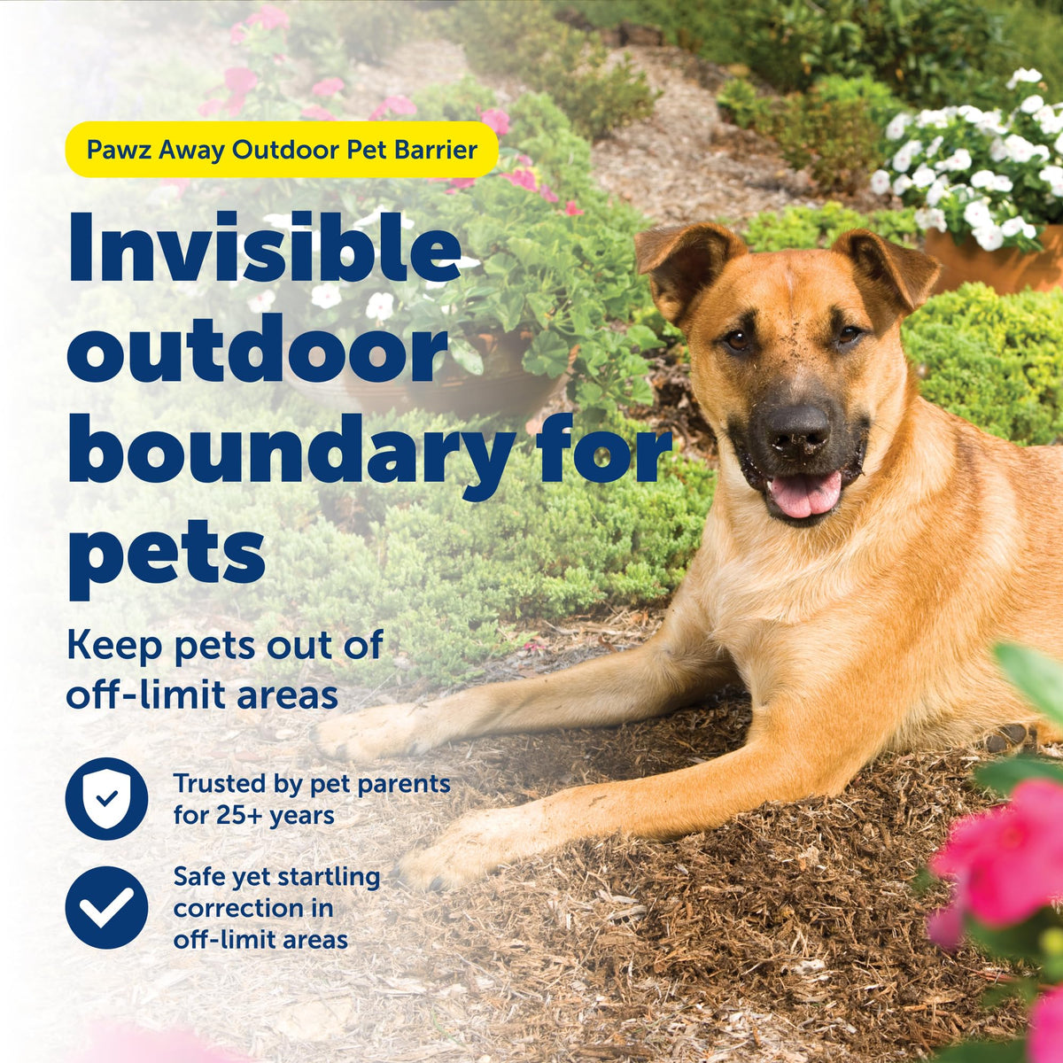 Wireless Outdoor Pet Barrier with Receiver Collar K24655